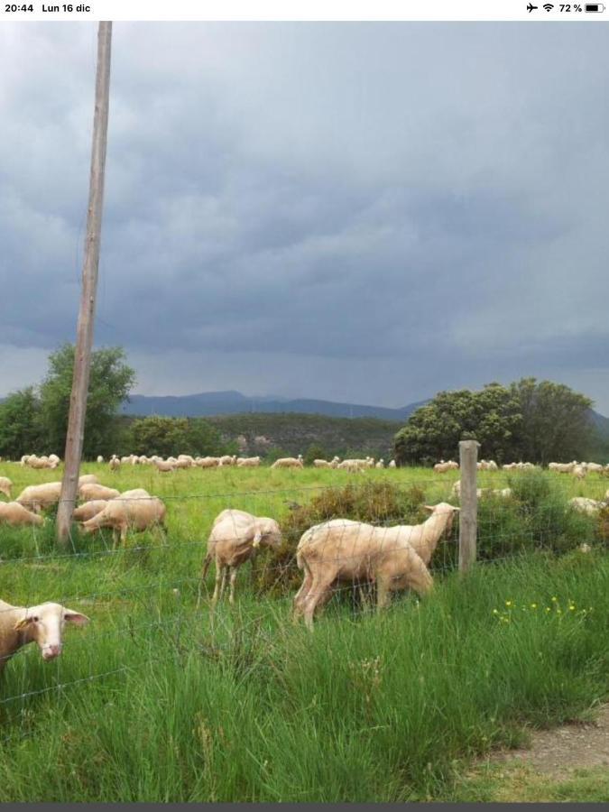 Vistas A La Montana En Un Pueblo Con Encanto. El Pueyo de Araguás Kültér fotó