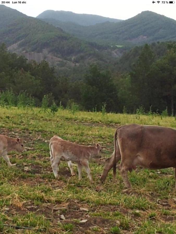 Vistas A La Montana En Un Pueblo Con Encanto. El Pueyo de Araguás Kültér fotó